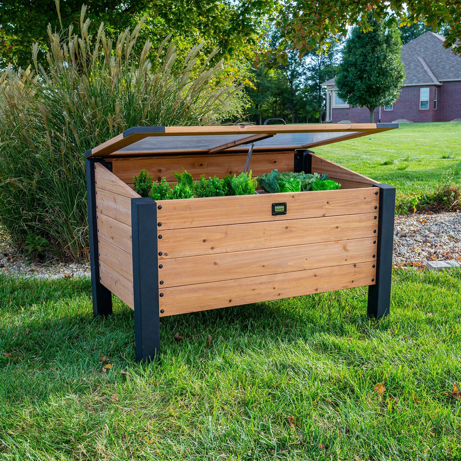 shop-backyard-discovery-aggie-cold-box-1-1.jpg